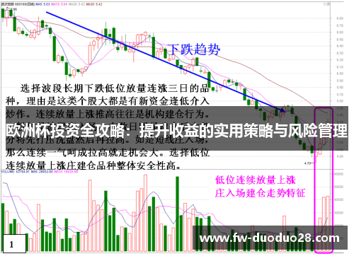 欧洲杯投资全攻略:提升收益的实用策略与风险管理 欧洲杯投资全攻略:提升收益的实用策略与风险管理