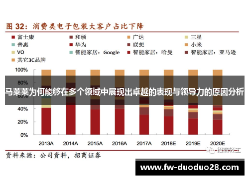 马莱莱为何能够在多个领域中展现出卓越的表现与领导力的原因分析 马莱莱为何能够在多个领域中展现出卓越的表现与领导力的原因分析